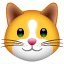 Kassi emoji U+1F431